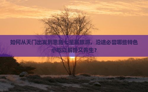 如何从天门出发到恩施七星寨旅游，沿途必尝哪些特色小吃以解馋又养生？