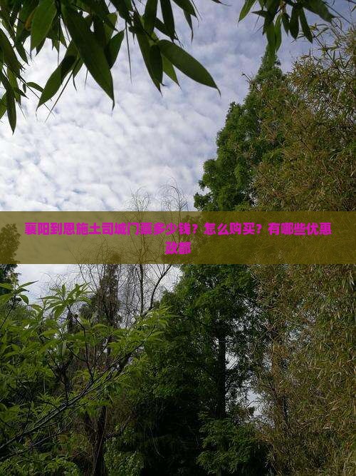 襄阳到恩施土司城门票多少钱？怎么购买？有哪些优惠政部