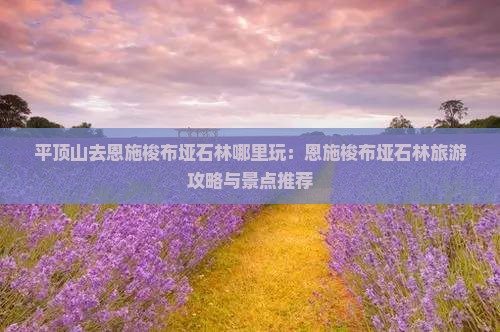 平顶山去恩施梭布垭石林哪里玩：恩施梭布垭石林旅游攻略与景点推荐