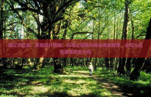 通辽市出发：恩施旅行攻略，探寻土司城与峡谷美食推荐，必吃土豆合渣等关合小吃