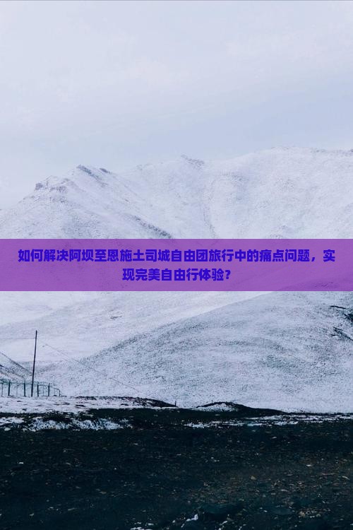 如何解决阿坝至恩施土司城自由团旅行中的痛点问题，实现完美自由行体验？