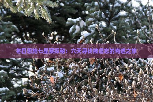 冬日恩施七星寨探秘：六天寻找被遗忘的奇迹之旅