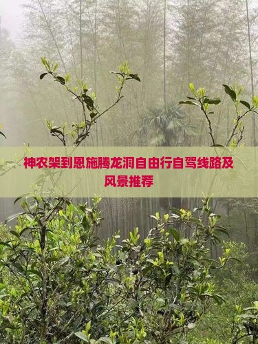 神农架到恩施腾龙洞自由行自驾线路及风景推荐