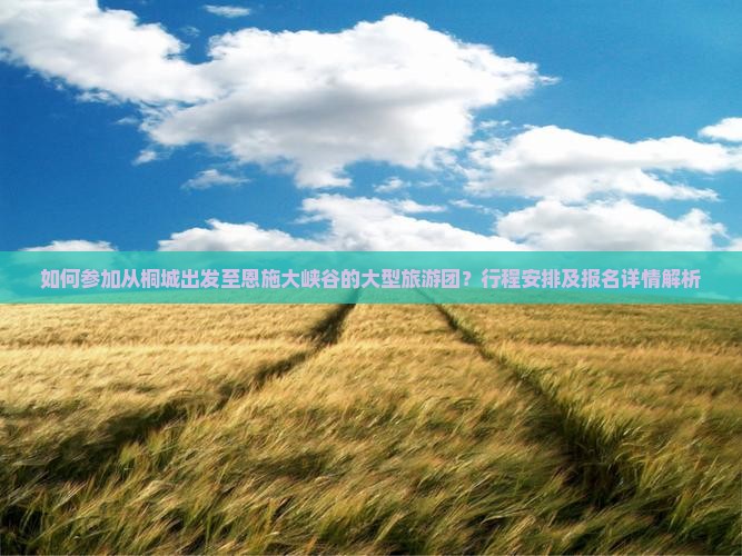 如何参加从桐城出发至恩施大峡谷的大型旅游团？行程安排及报名详情解析