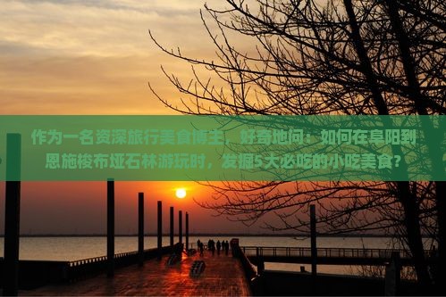 作为一名资深旅行美食博主，好奇地问：如何在阜阳到恩施梭布垭石林游玩时，发掘5大必吃的小吃美食？