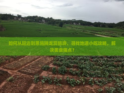 如何从延边到恩施腾龙洞旅游，寻找地道小吃攻略，解决美食痛点？