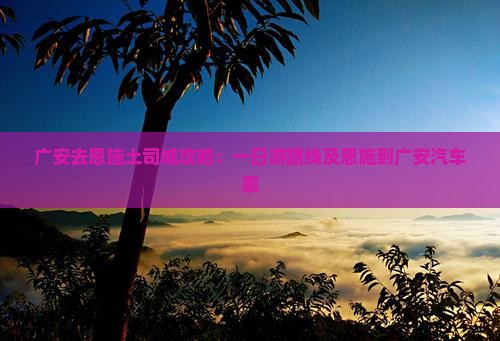 广安去恩施土司城攻略：一日游路线及恩施到广安汽车票