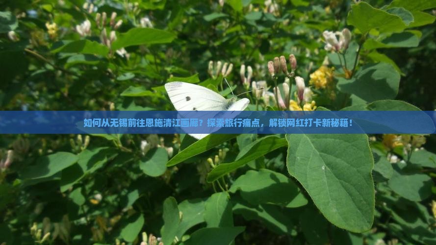 如何从无锡前往恩施清江画廊？探索旅行痛点，解锁网红打卡新秘籍！