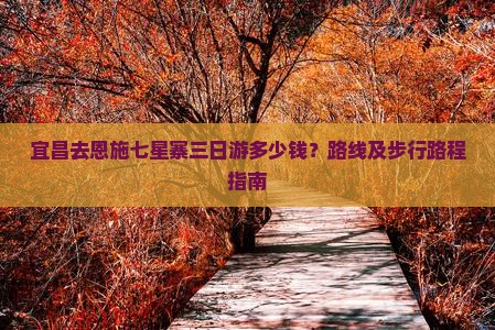 宜昌去恩施七星寨三日游多少钱？路线及步行路程指南