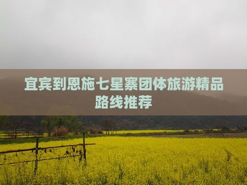 宜宾到恩施七星寨团体旅游精品路线推荐