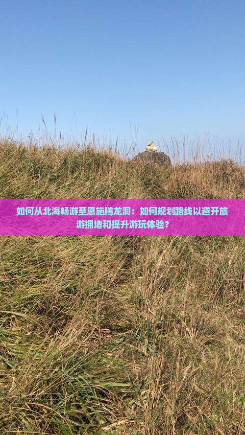 如何从北海畅游至恩施腾龙洞：如何规划路线以避开旅游拥堵和提升游玩体验？