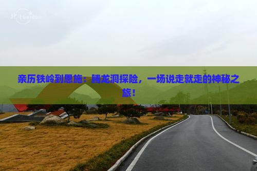 亲历铁岭到恩施：腾龙洞探险，一场说走就走的神秘之旅！