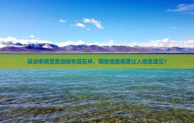 探访孝感至恩施梭布垭石林，哪些绝美角落让人感恩遇见？