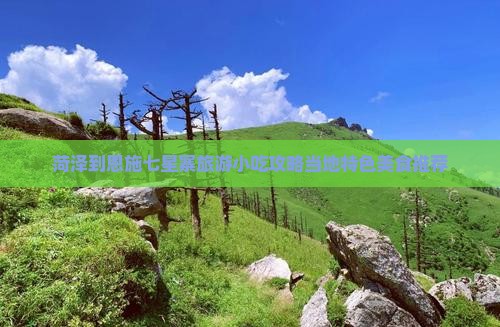 菏泽到恩施七星寨旅游小吃攻略当地特色美食推荐