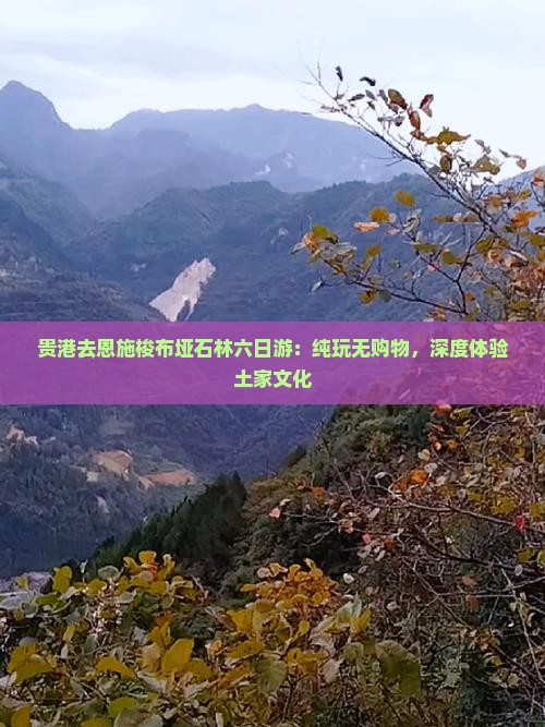 贵港去恩施梭布垭石林六日游：纯玩无购物，深度体验土家文化