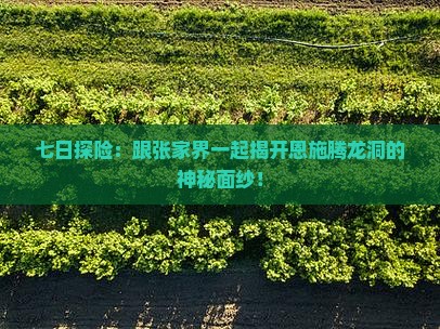 七日探险：跟张家界一起揭开恩施腾龙洞的神秘面纱！