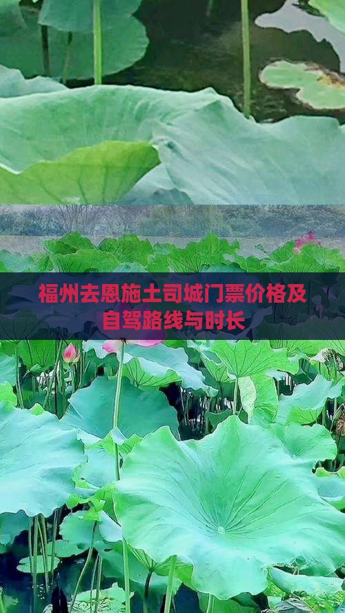 福州去恩施土司城门票价格及自驾路线与时长