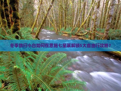 冬季旅行小白如何在恩施七星寨解锁5大自由行攻略？