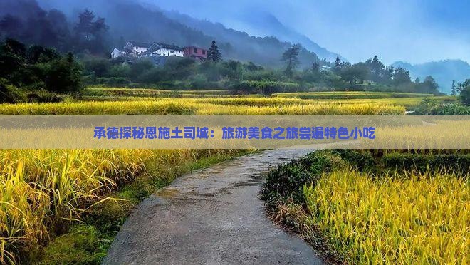 承德探秘恩施土司城：旅游美食之旅尝遍特色小吃