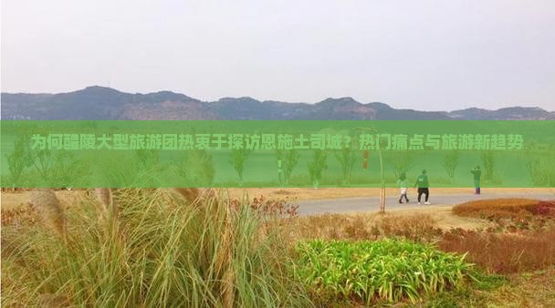 为何醴陵大型旅游团热衷于探访恩施土司城？热门痛点与旅游新趋势！
