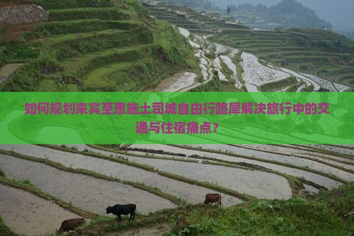 如何规划来宾至恩施土司城自由行路犀解决旅行中的交通与住宿痛点？