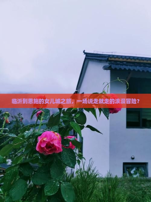 临沂到恩施的女儿城之旅，一场说走就走的浪漫冒险？