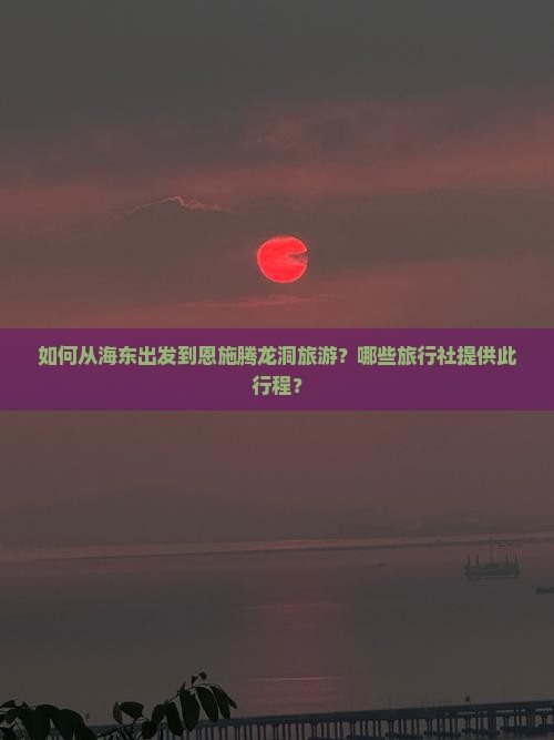 如何从海东出发到恩施腾龙洞旅游？哪些旅行社提供此行程？