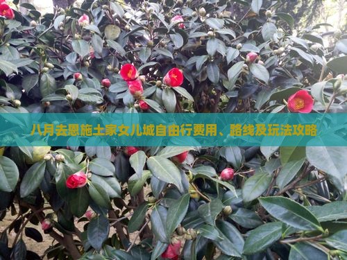 八月去恩施土家女儿城自由行费用、路线及玩法攻略