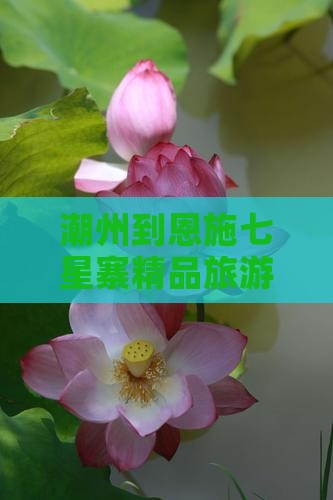 潮州到恩施七星寨精品旅游团