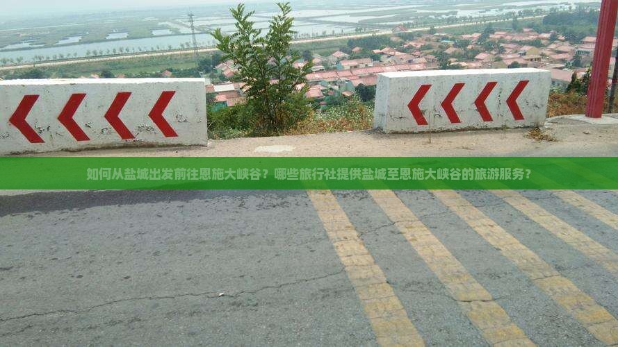 如何从盐城出发前往恩施大峡谷？哪些旅行社提供盐城至恩施大峡谷的旅游服务？