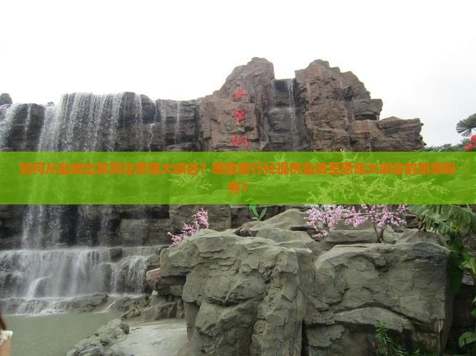 如何从盐城出发前往恩施大峡谷？哪些旅行社提供盐城至恩施大峡谷的旅游服务？
