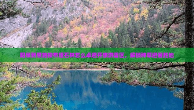 阳泉到恩施梭布垭石林怎么卓避开旅游雷区，解锁种草避暑胜地