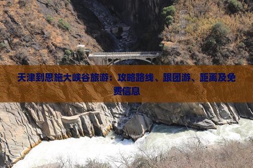 天津到恩施大峡谷旅游：攻略路线、跟团游、距离及免费信息