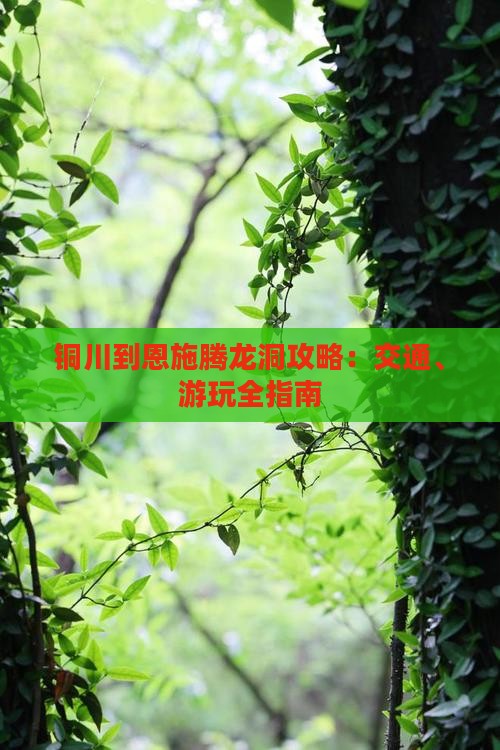 铜川到恩施腾龙洞攻略