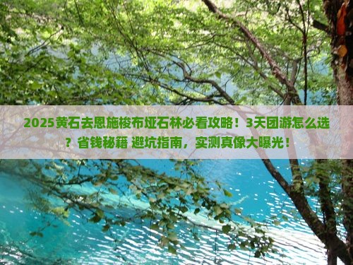 黄石去恩施梭布垭石林大型旅游团