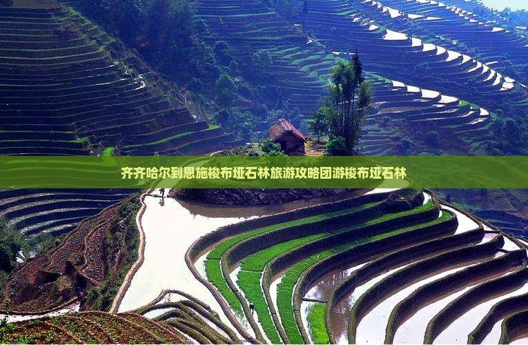 齐齐哈尔到恩施梭布垭石林团体旅游