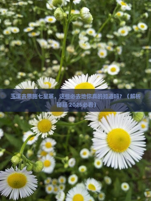 玉溪去恩施七星寨必去地