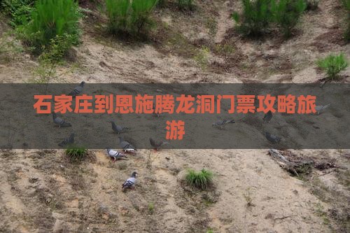 石家庄到恩施腾龙洞门票
