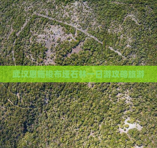 武汉去恩施梭布垭石林一日