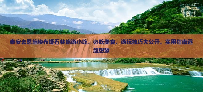 泰安去恩施梭布垭石林旅游小吃