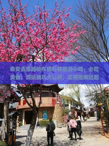 泰安去恩施梭布垭石林旅游小吃