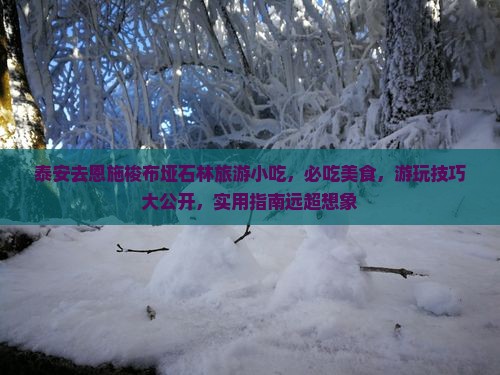 泰安去恩施梭布垭石林旅游小吃