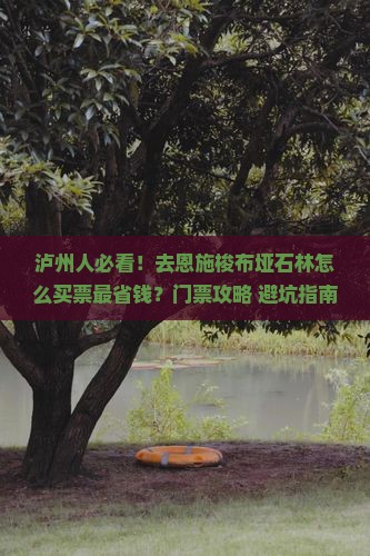 泸州去恩施梭布垭石林门票