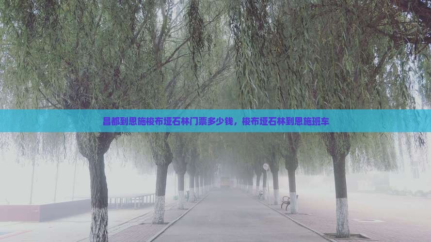 昌都到恩施梭布垭石林门票