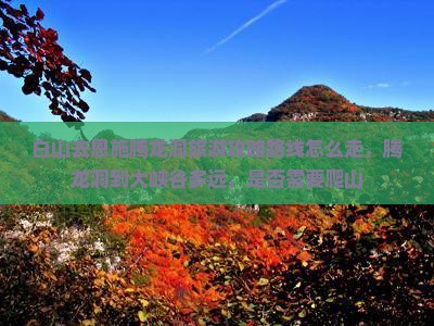 白山去恩施腾龙洞旅游