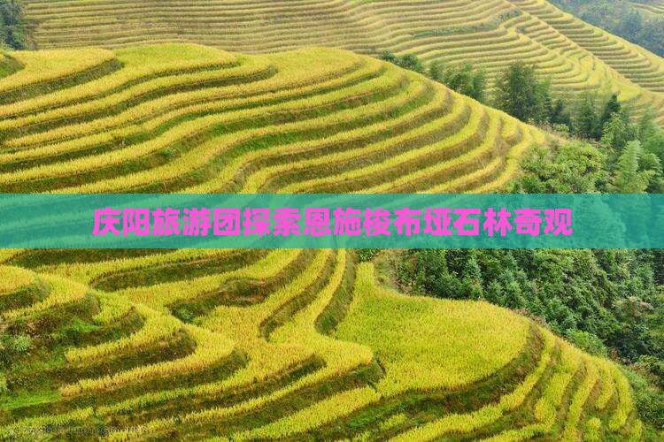 庆阳到恩施梭布垭石林大型旅游团