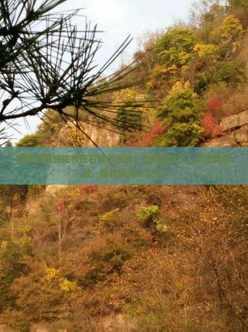 滁州去恩施梭布垭石林必去地