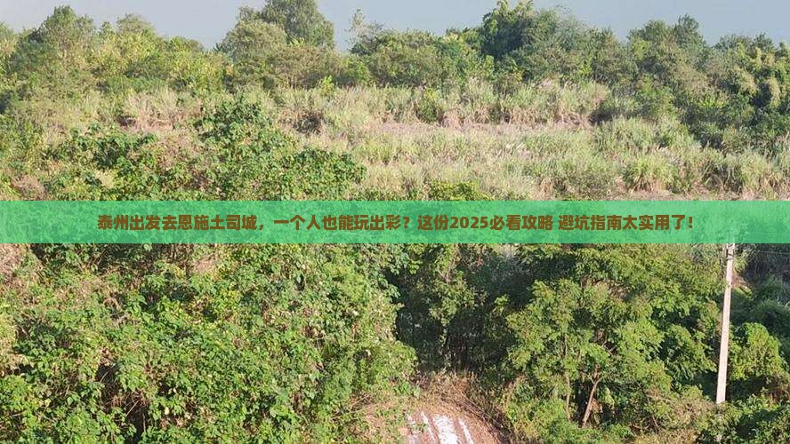 泰州到恩施土司城个人游
