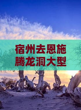 宿州去恩施腾龙洞大型旅游团