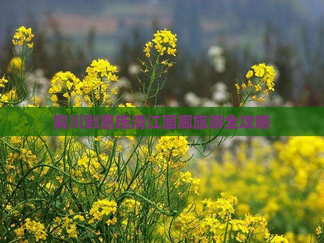 铜川去恩施清江画廊旅游